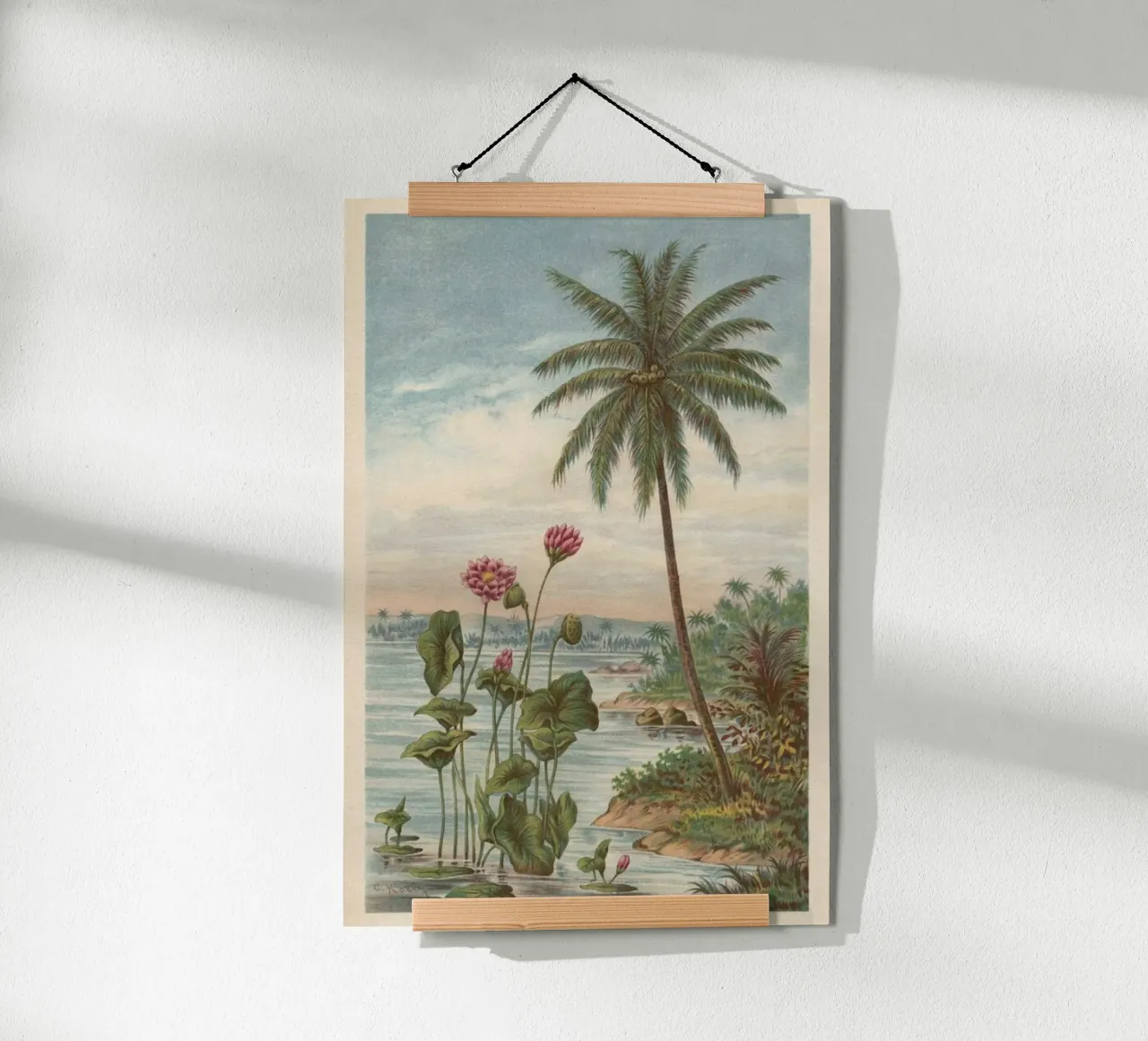 Lotus Flowers poster de Flora & Fauna