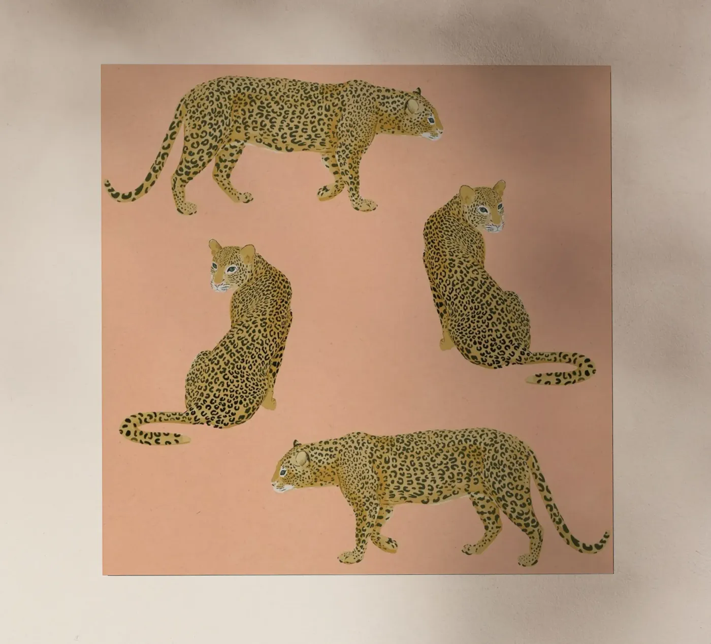Sunset Leopards pellicola backlit da Laura Graves