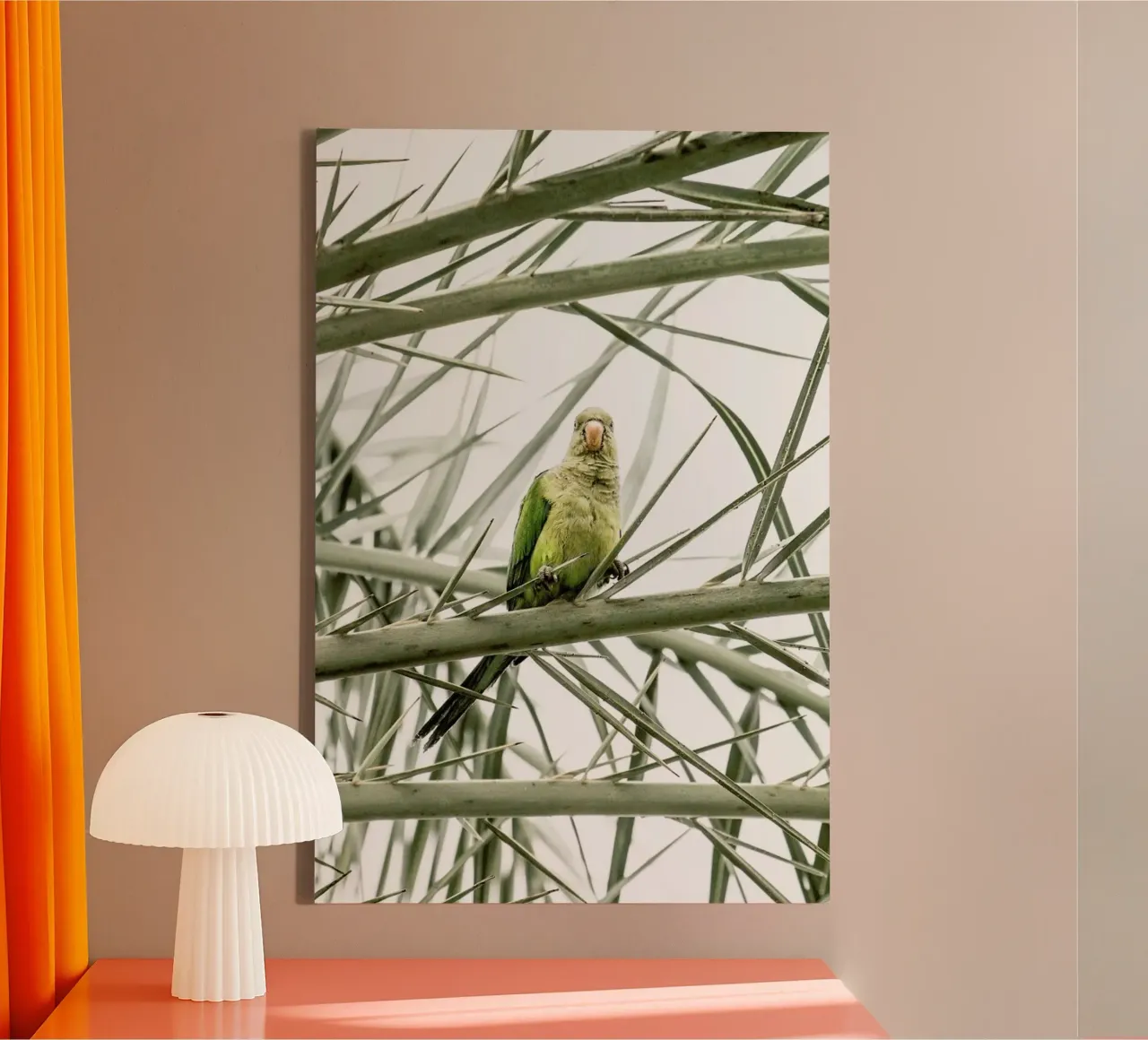 Parrot tela con Cornice a cassetta da Victoria Frost