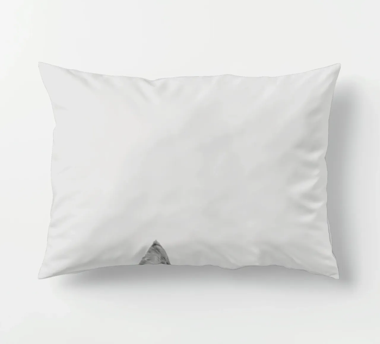 Cat II cuscino da Paws & Claws