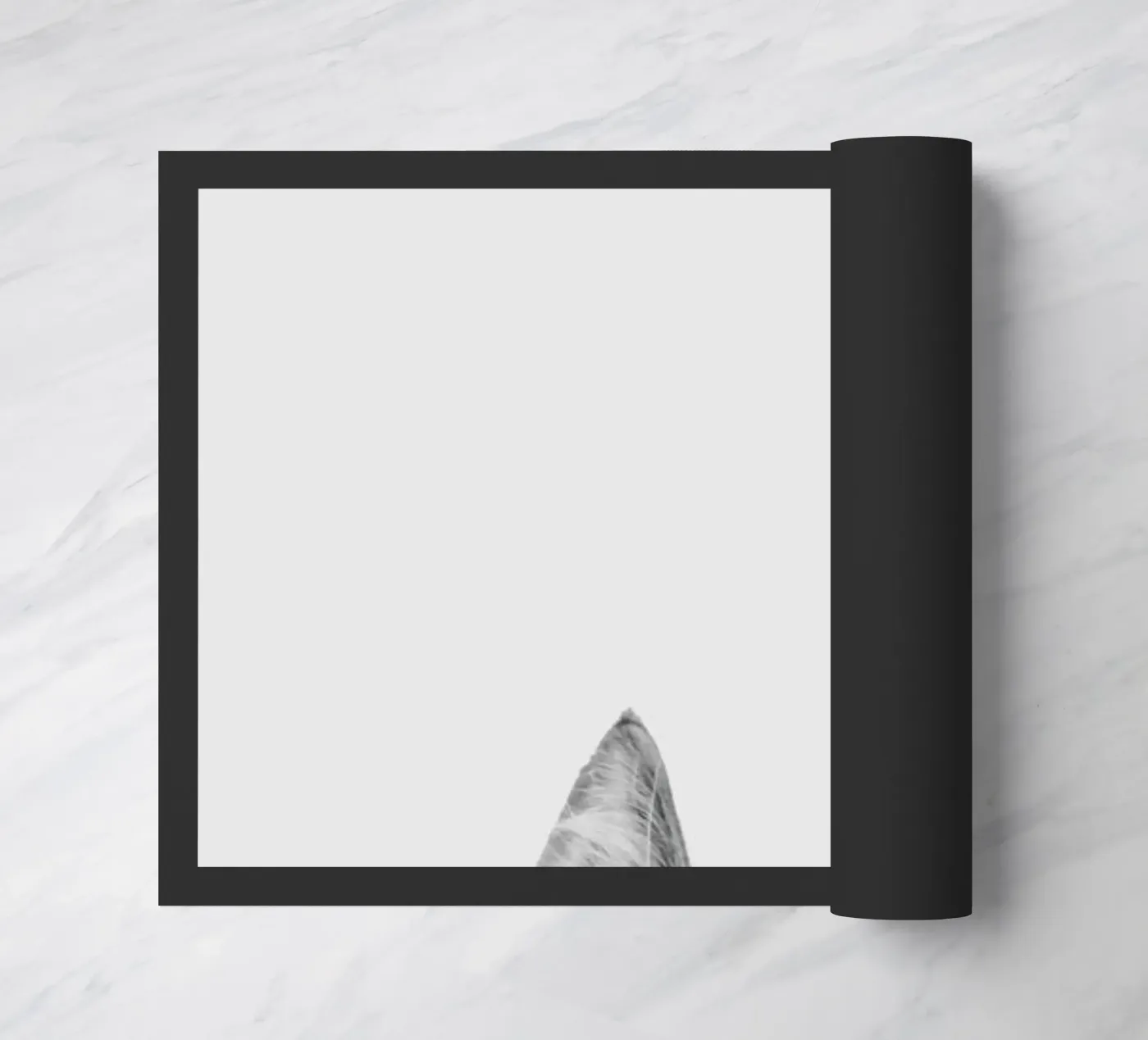 Cat II zerbino da Paws & Claws