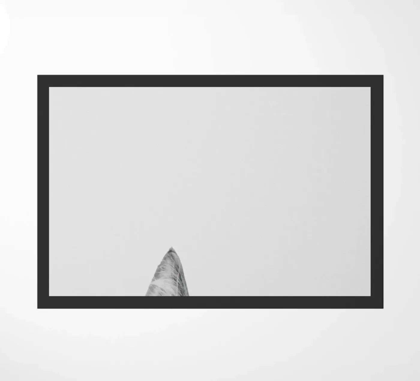 Cat II zerbino da Paws & Claws