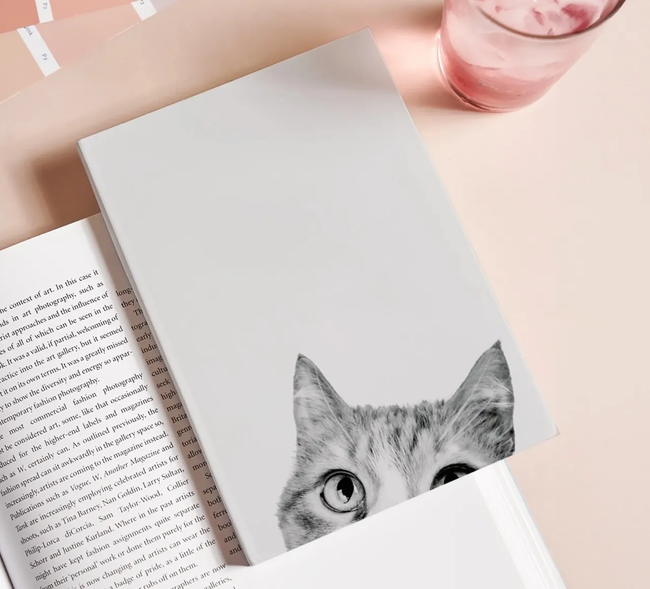 Cat II notebook by Paws & Claws