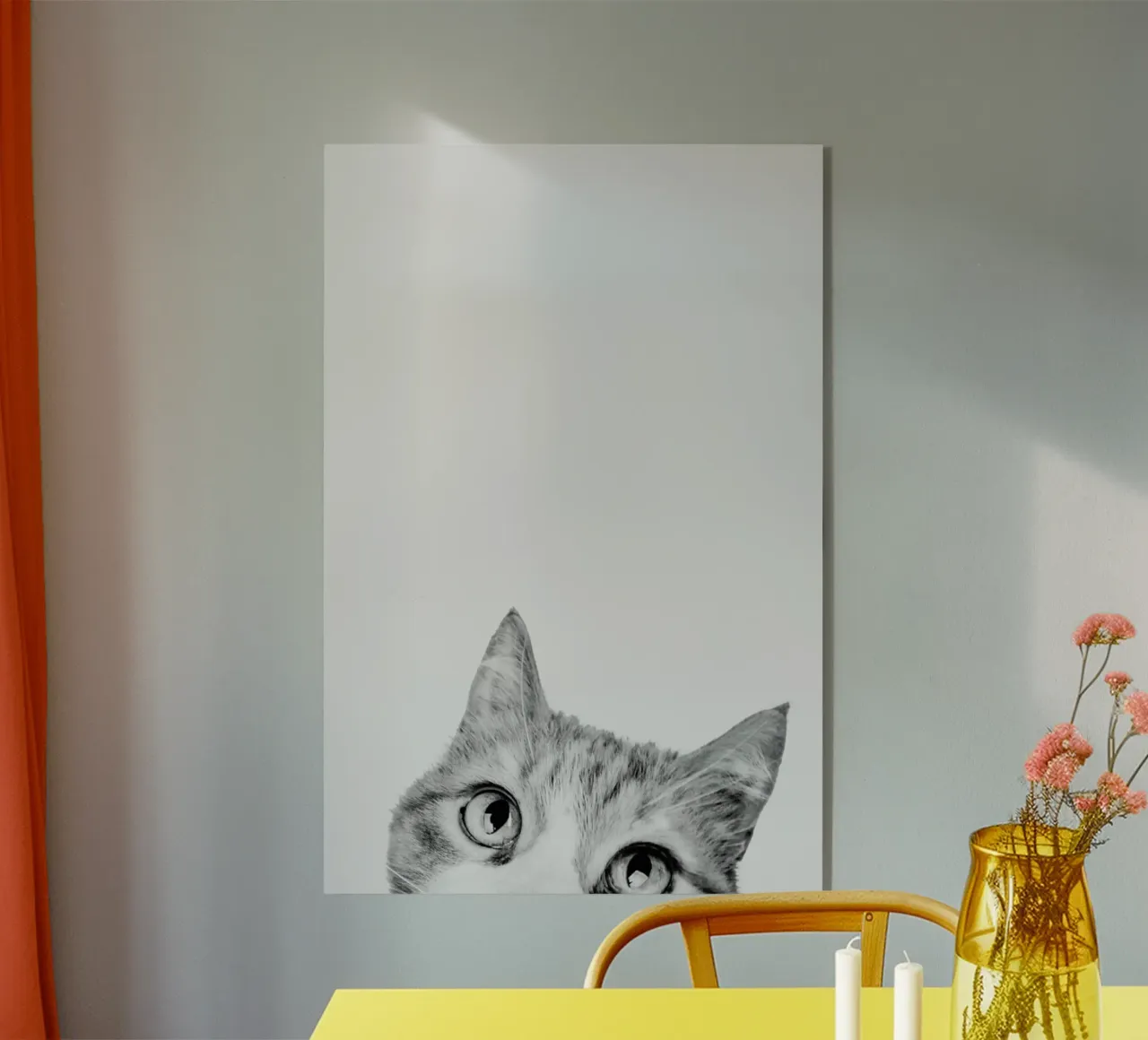 Cat II plexiglass da Paws & Claws