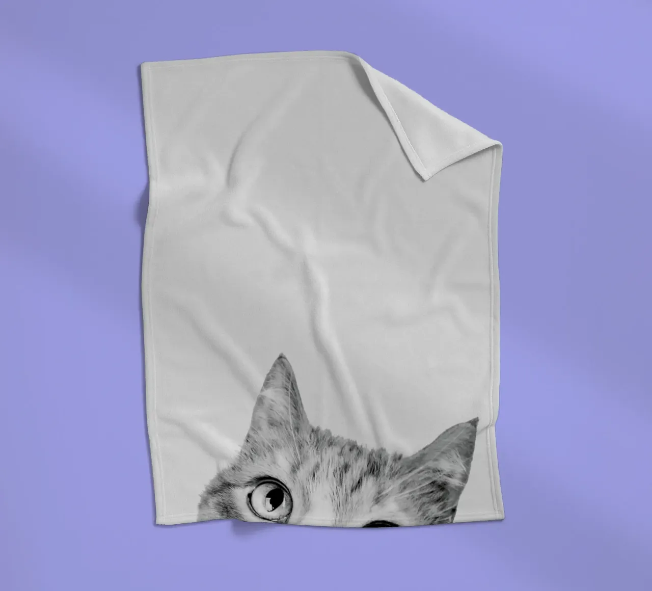 Cat II coperta in pile da Paws & Claws