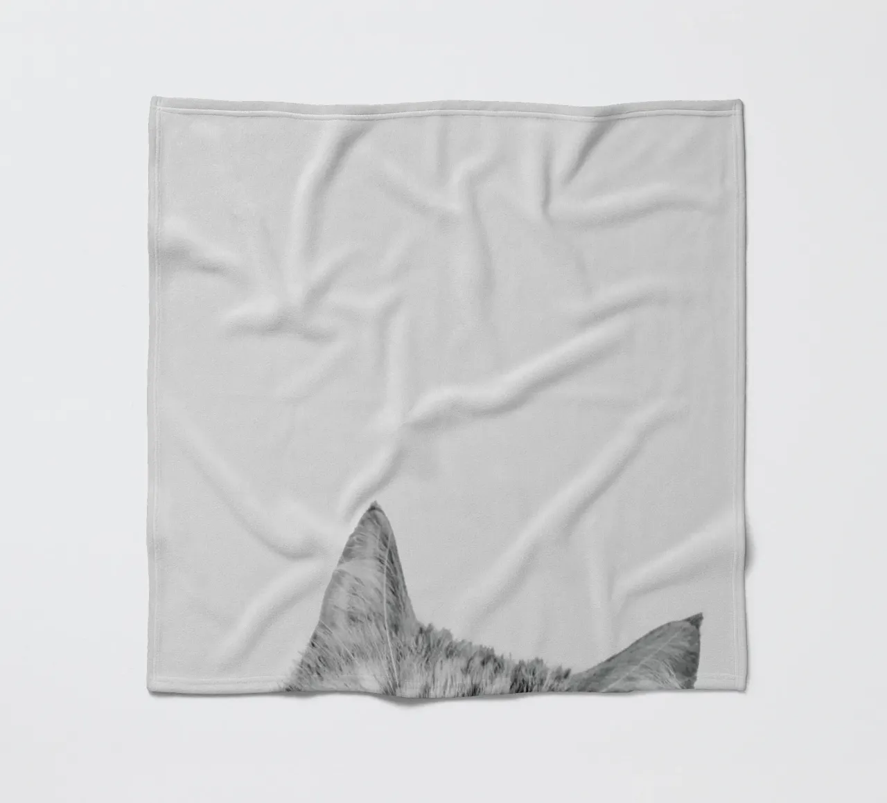 Cat II coperta in pile da Paws & Claws