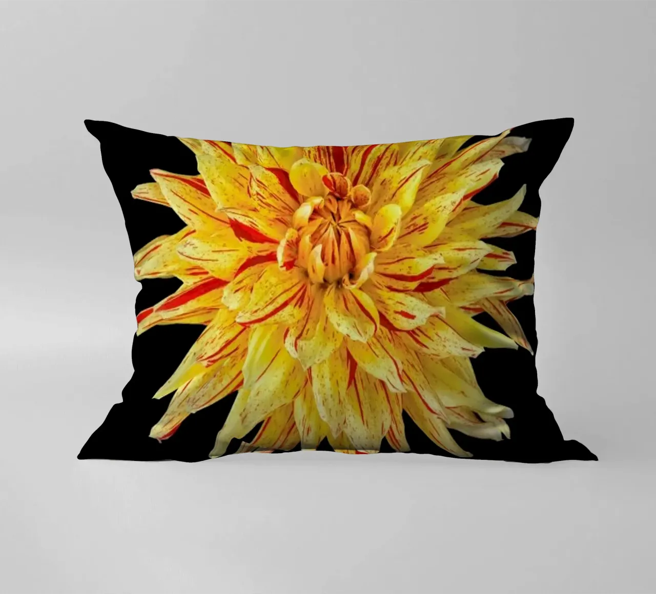 Dahlia 5 cuscino da Curious Collections by Marielle Leenders