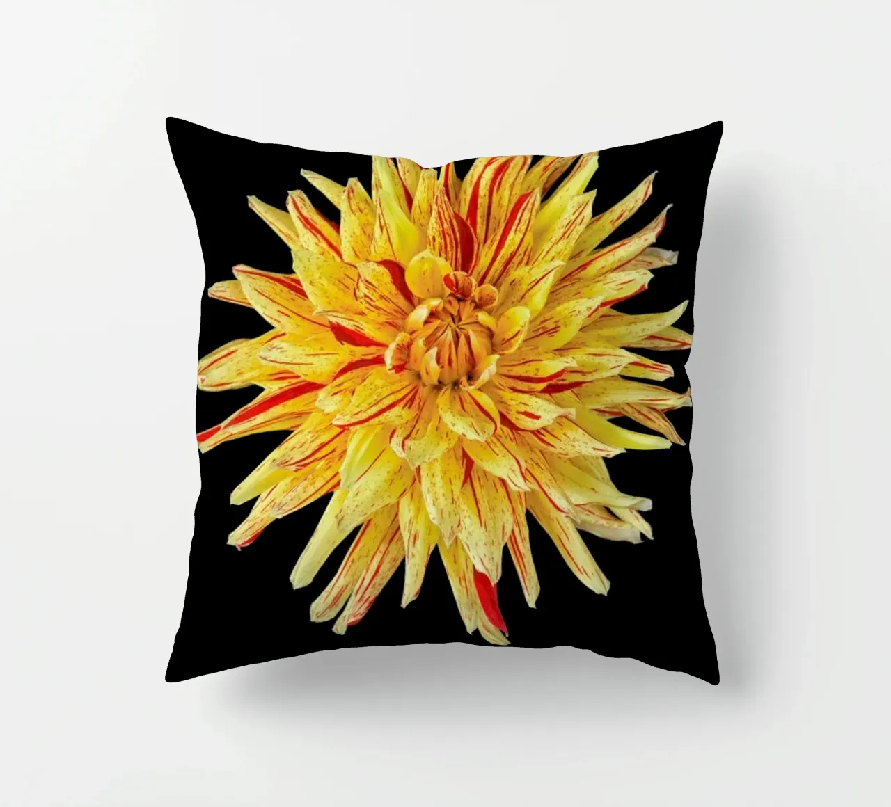 Dahlia 5 cuscino da Curious Collections by Marielle Leenders