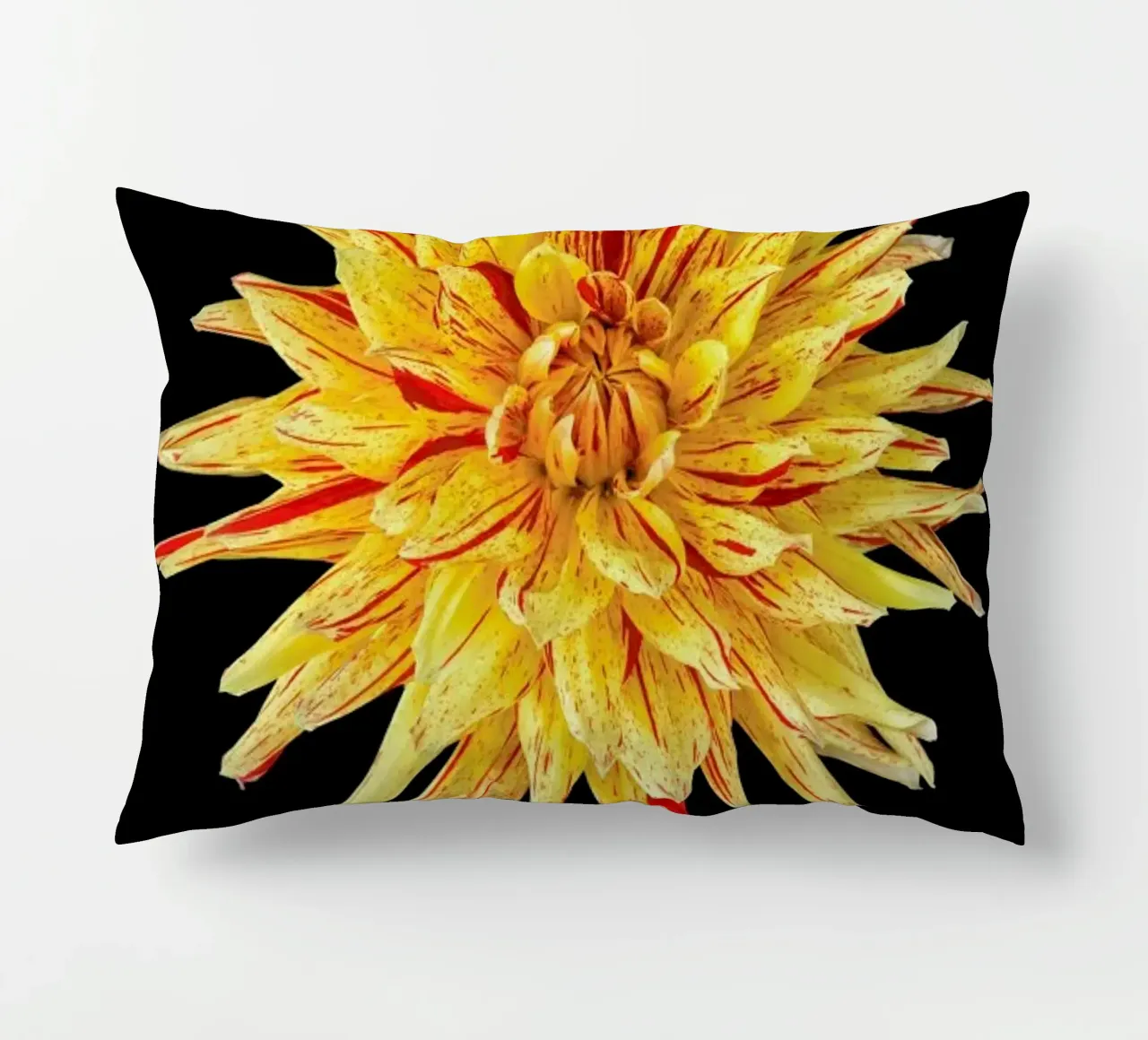 Dahlia 5 cuscino da Curious Collections by Marielle Leenders
