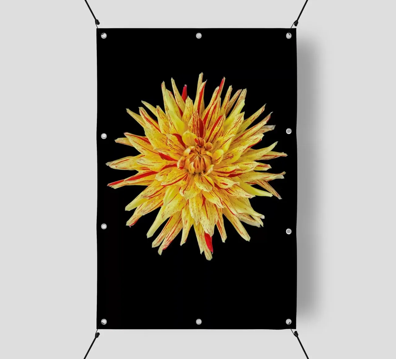 Dahlia 5 telo in pvc da Curious Collections by Marielle Leenders