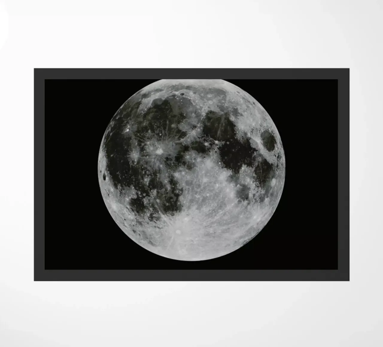 Moon zerbino da Florent Bodart