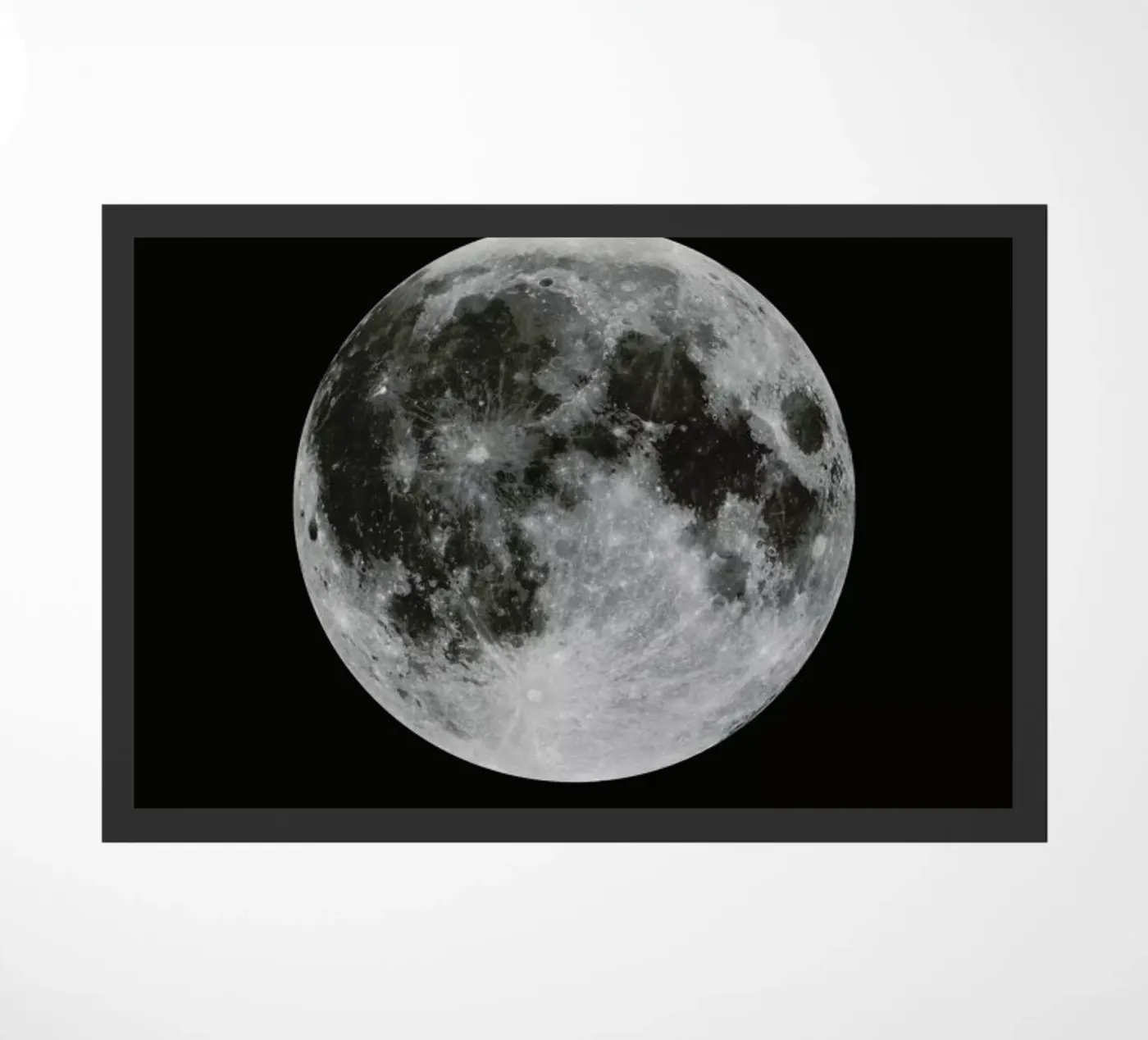 Moon zerbino da Florent Bodart