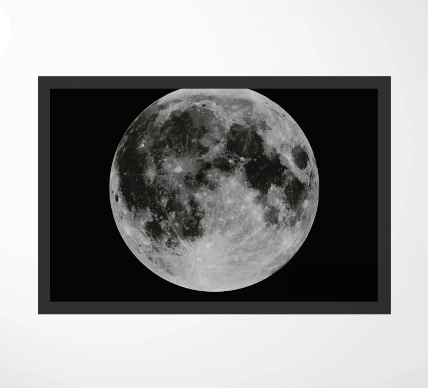 Moon zerbino da Florent Bodart