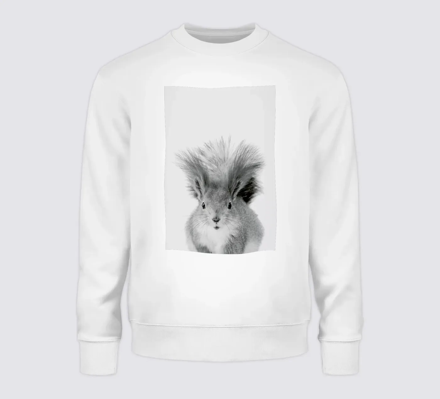 Squirrel sweatshirt by Paws & Claws