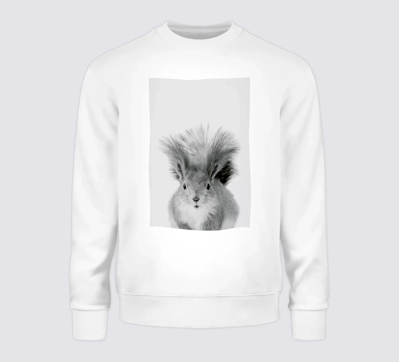 Squirrel sweatshirt by Paws & Claws