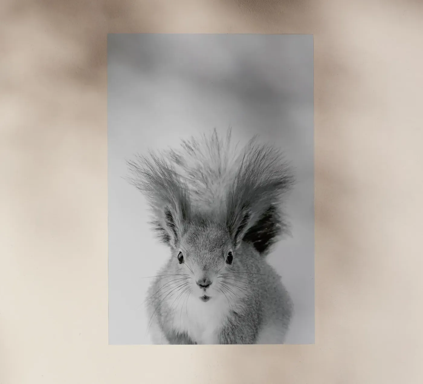 Squirrel backlit folie van Paws & Claws