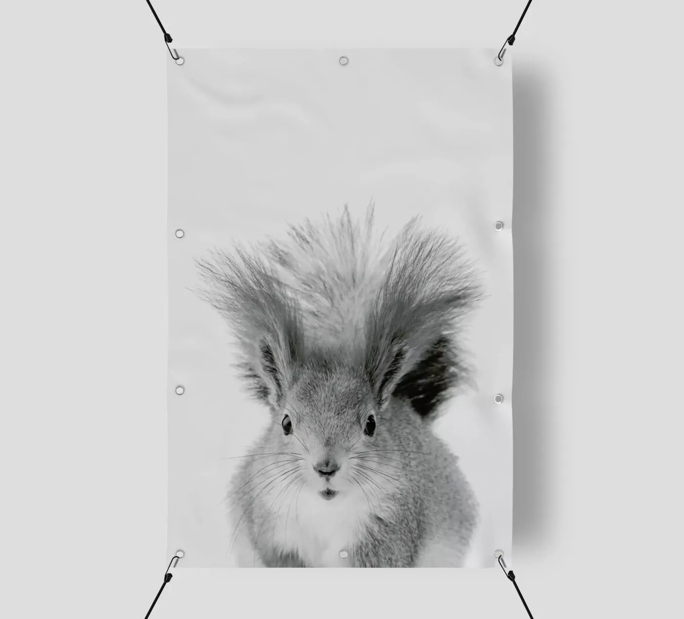 Squirrel telo in pvc da Paws & Claws