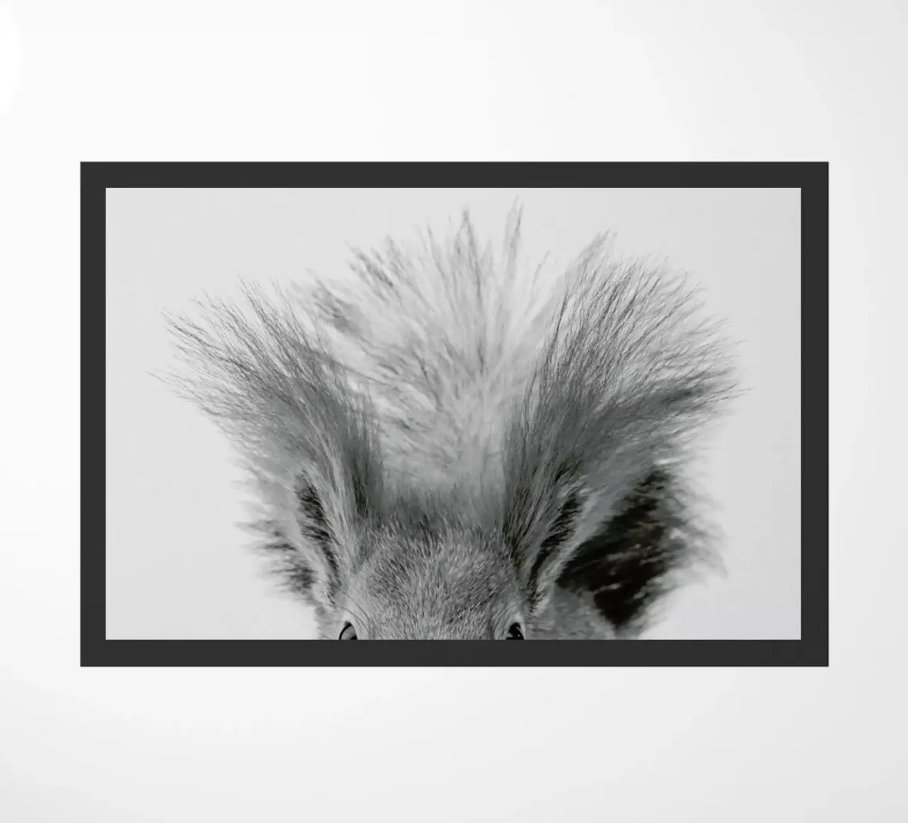 Squirrel zerbino da Paws & Claws