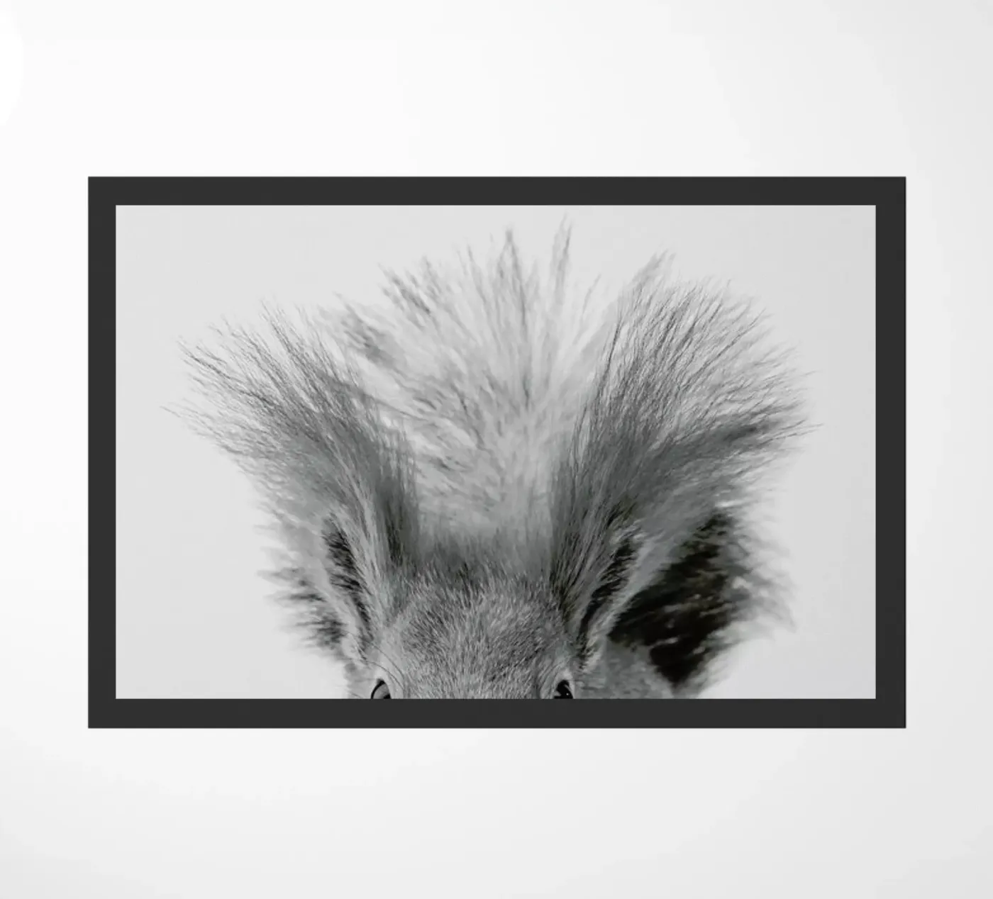 Squirrel deurmat van Paws & Claws