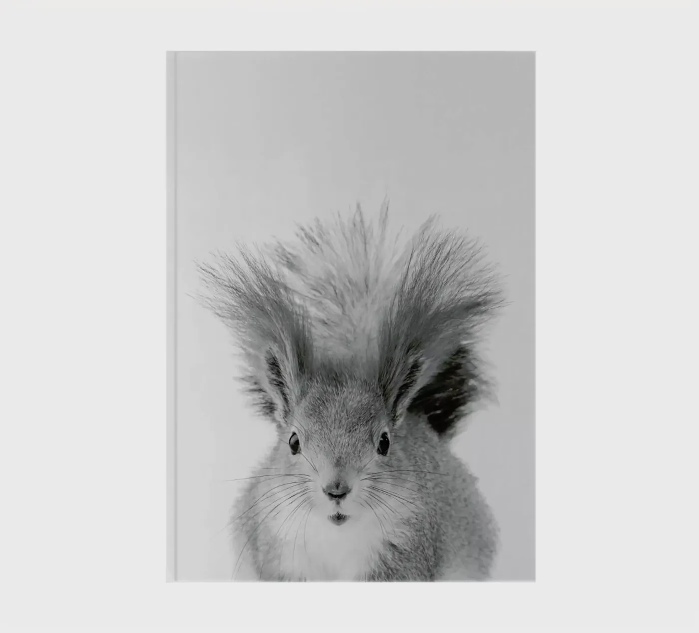 Squirrel notebook by Paws & Claws