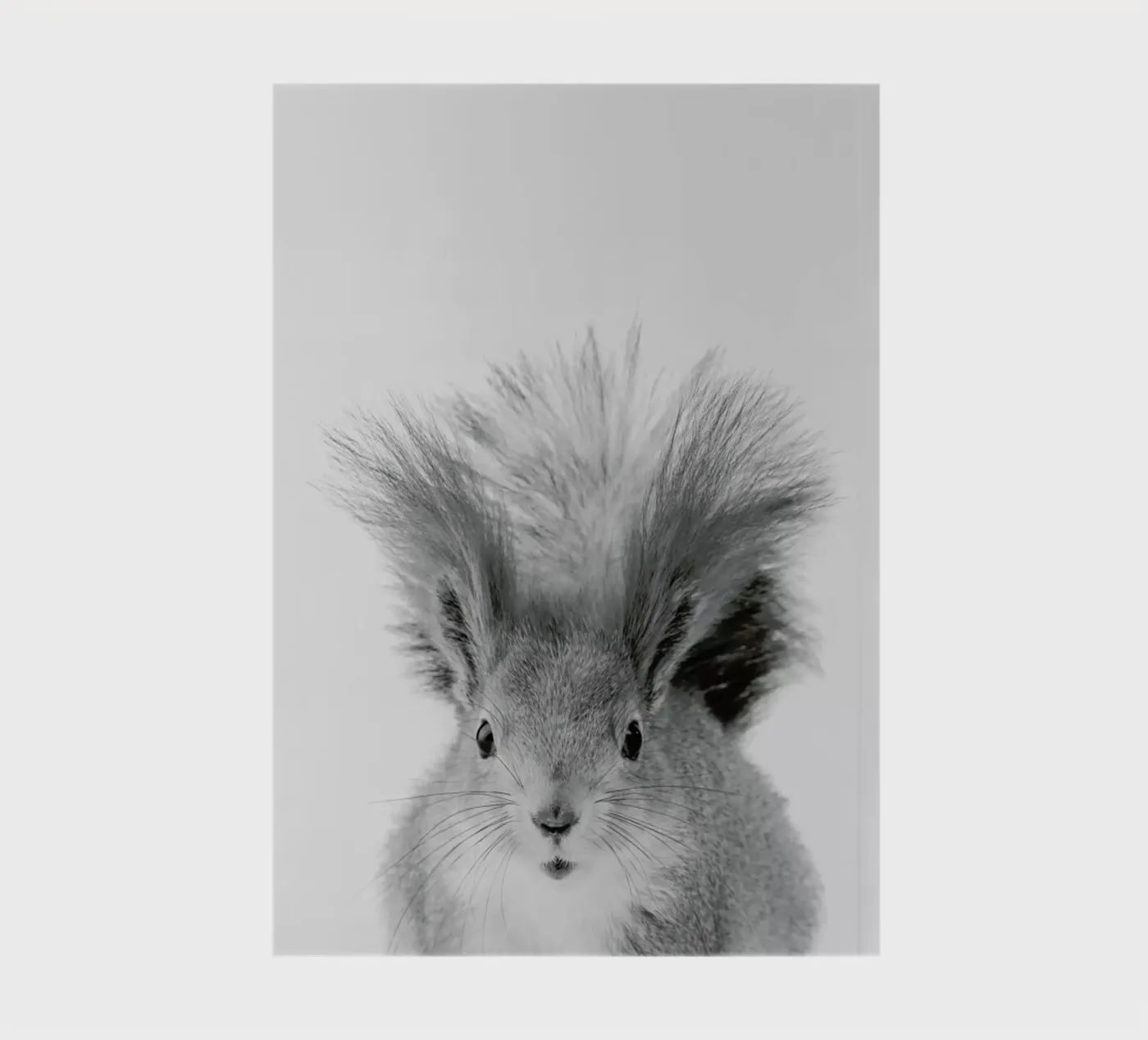 Squirrel notebook by Paws & Claws