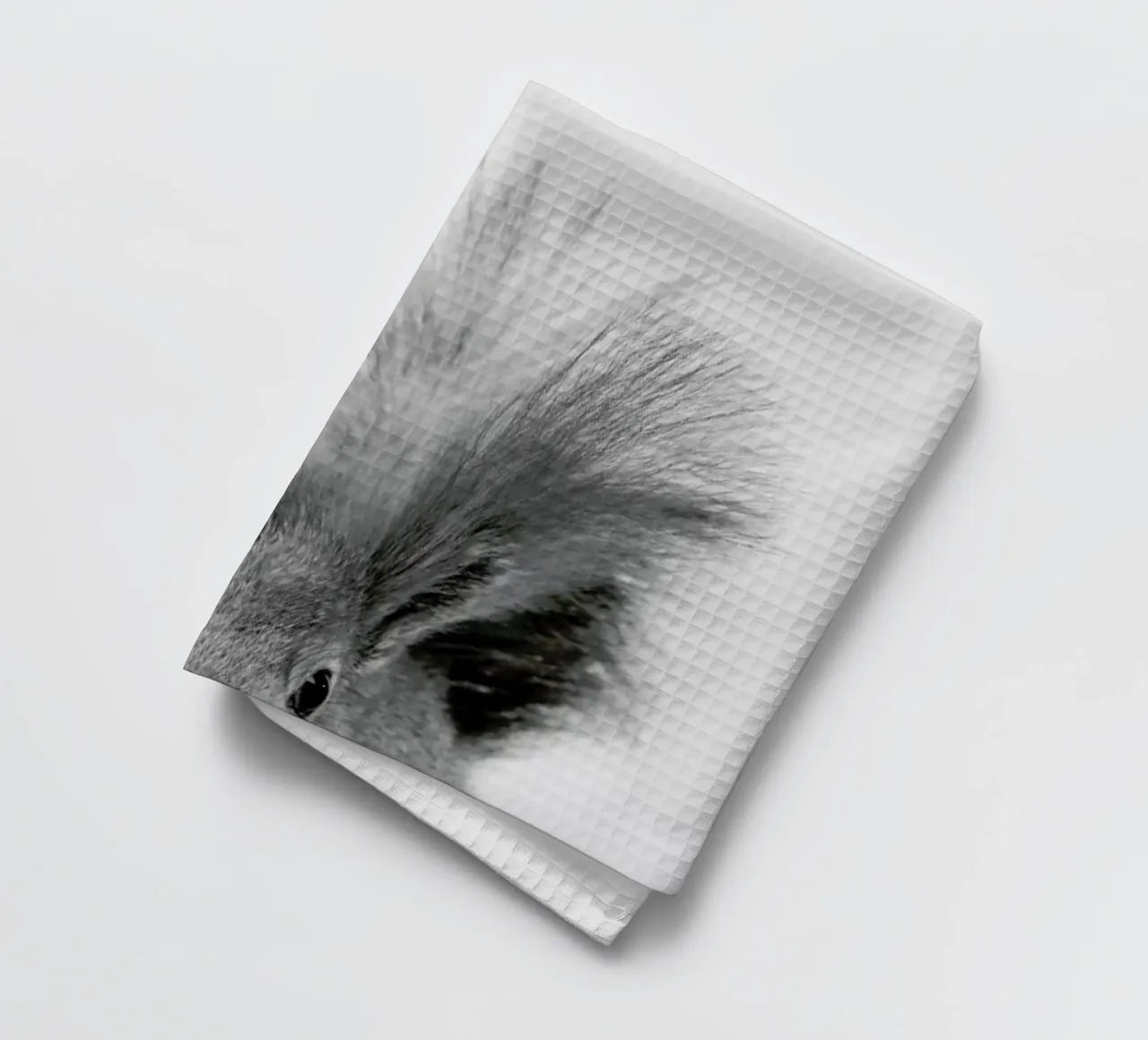 Squirrel torchon de Paws & Claws