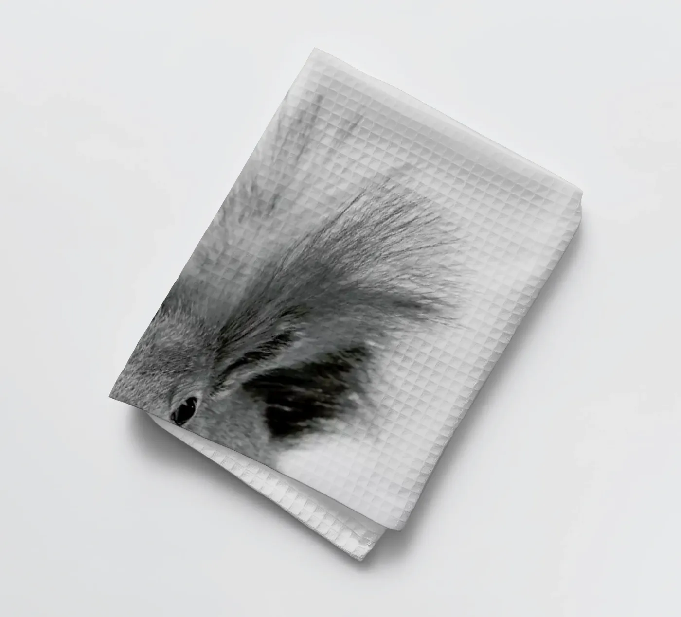 Squirrel Geschirrtuch von Paws & Claws