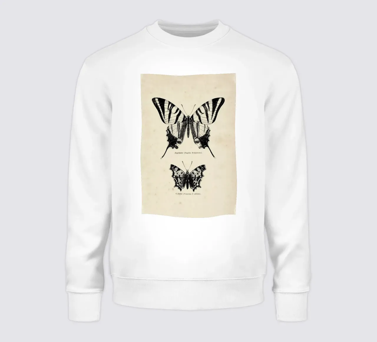 Butterfly Engraving felpa da Flora & Fauna
