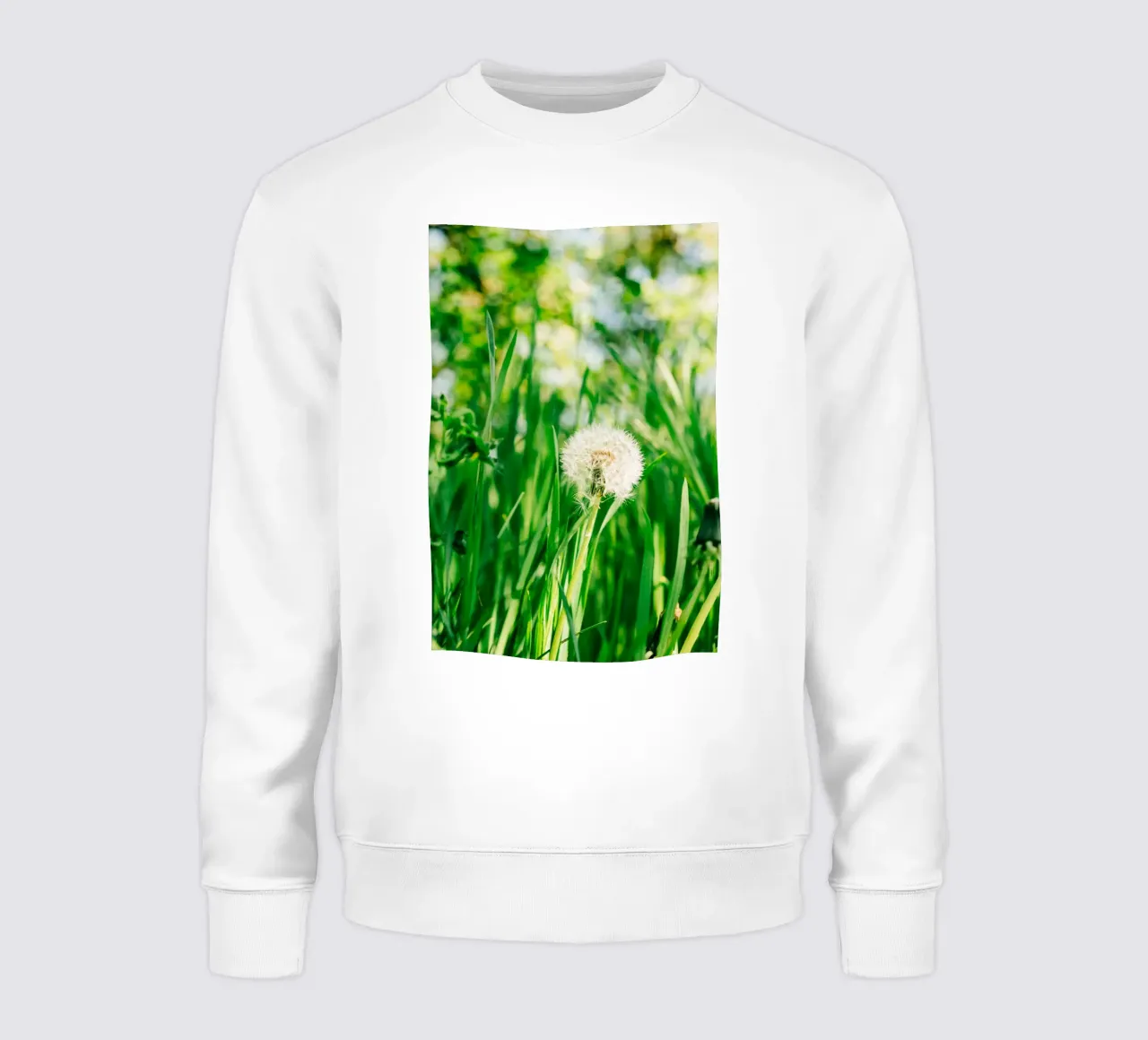 Dandelion, wildflower in grass on spring meadow - nature photo sweatshirt by Bold and Retro