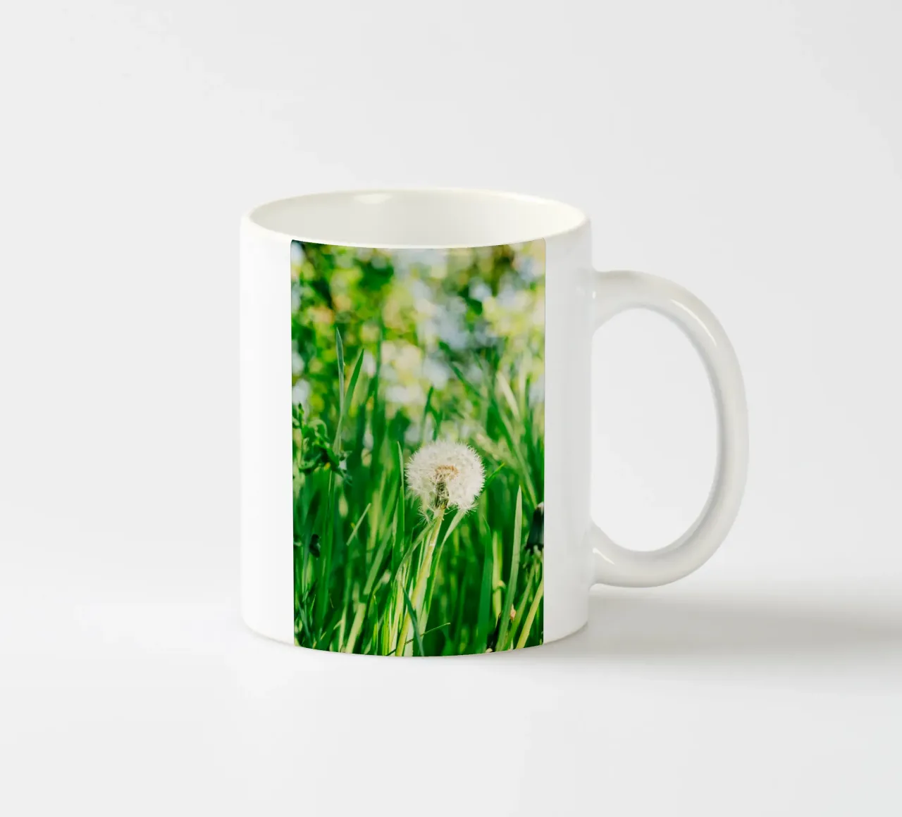 Dandelion, wildflower in grass on spring meadow - nature photo ceramic mug by Bold and Retro