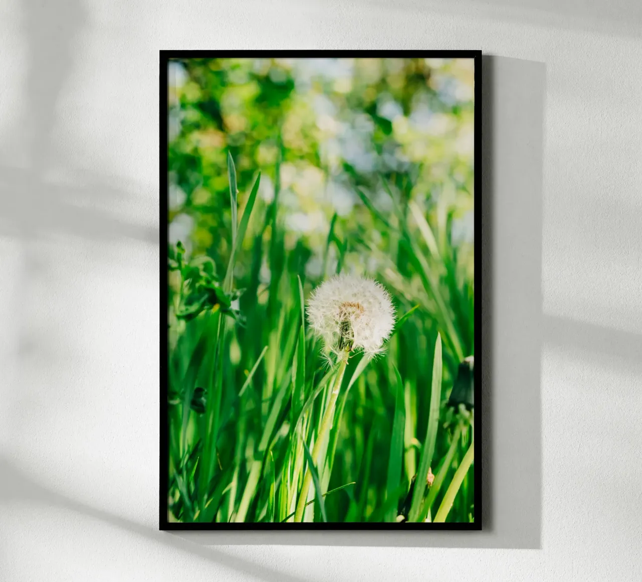 Dandelion, wildflower in grass on spring meadow - nature photo hahnemühle by Bold and Retro