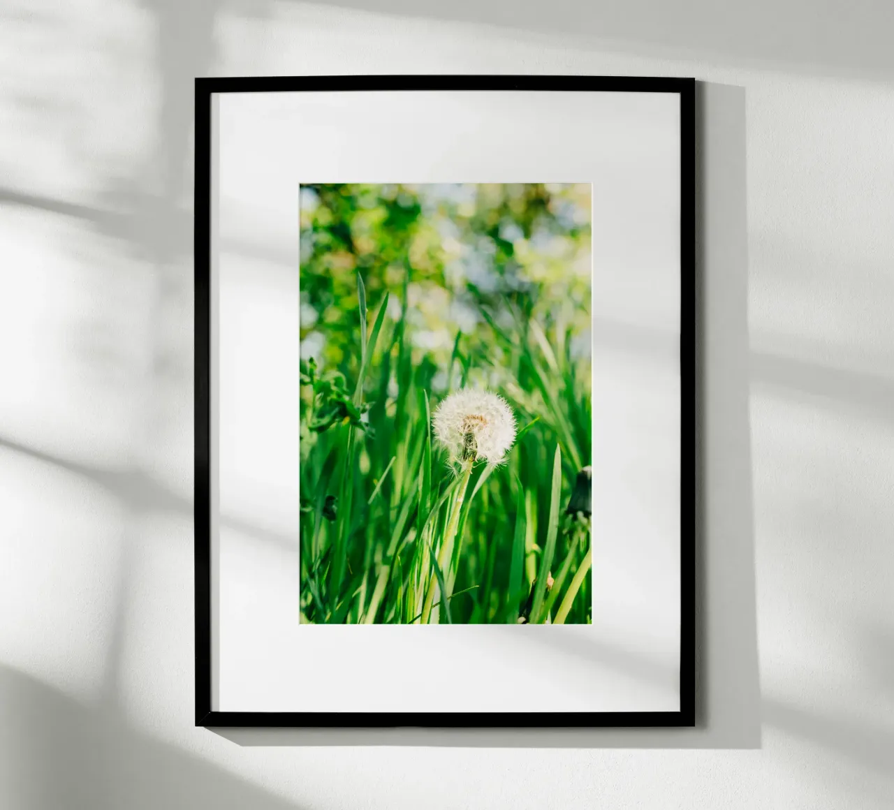 Dandelion, wildflower in grass on spring meadow - nature photo hahnemühle by Bold and Retro