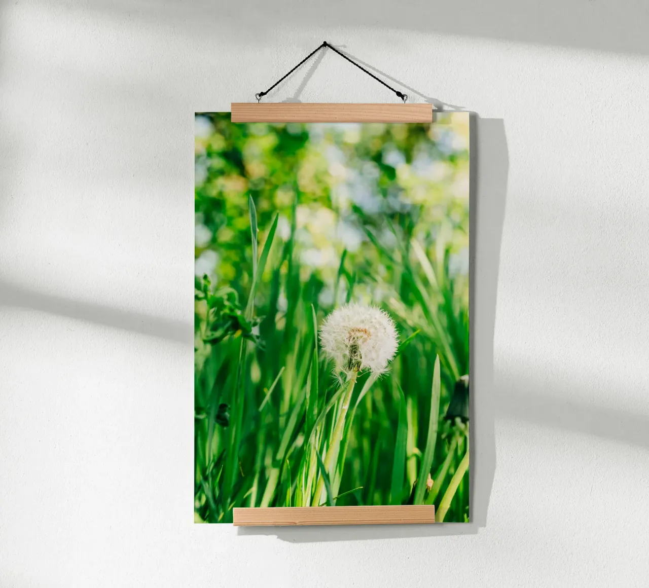Dandelion, wildflower in grass on spring meadow - nature photo hahnemühle by Bold and Retro