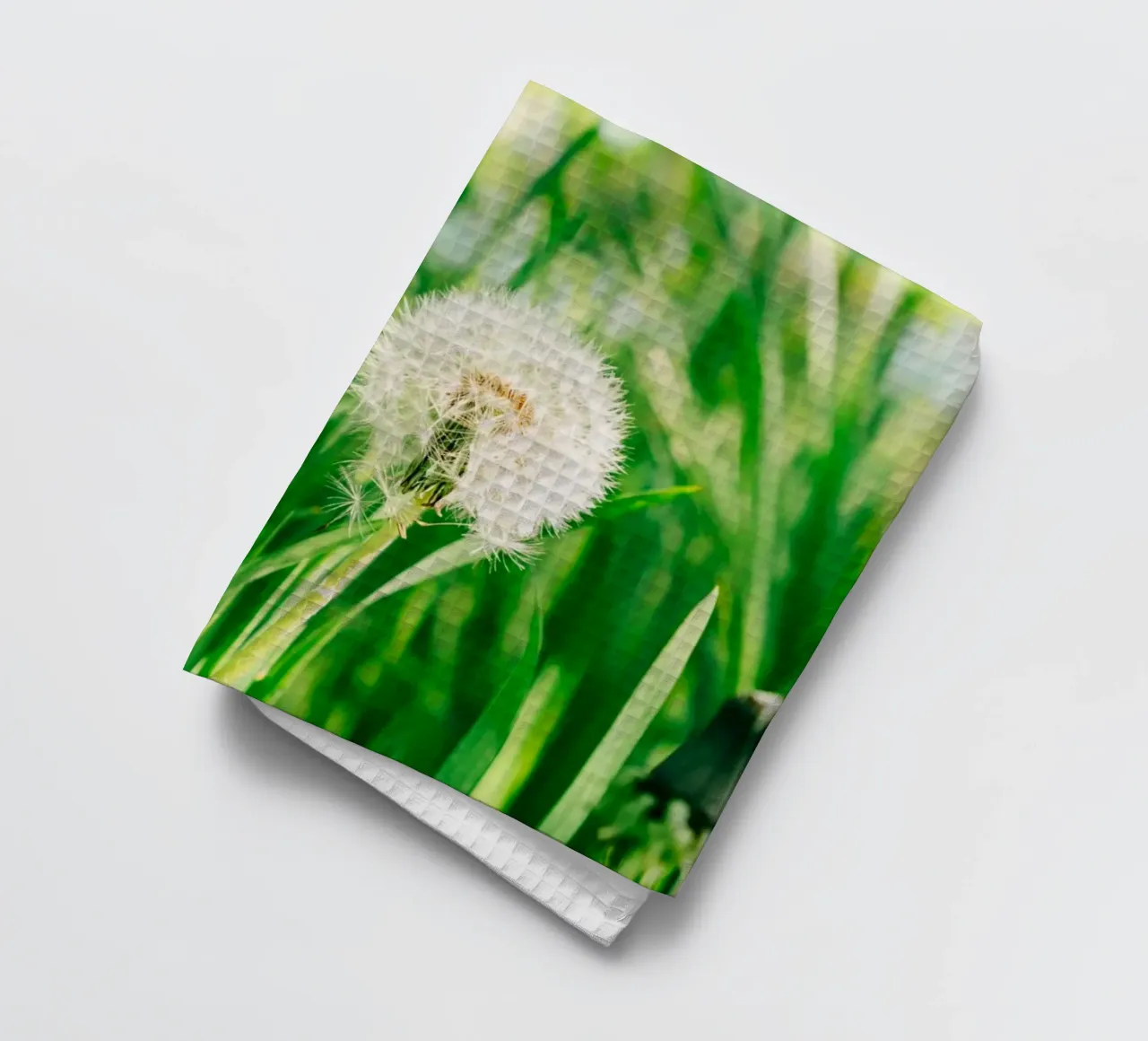 Dandelion, wildflower in grass on spring meadow - nature photo tea towel by Bold and Retro