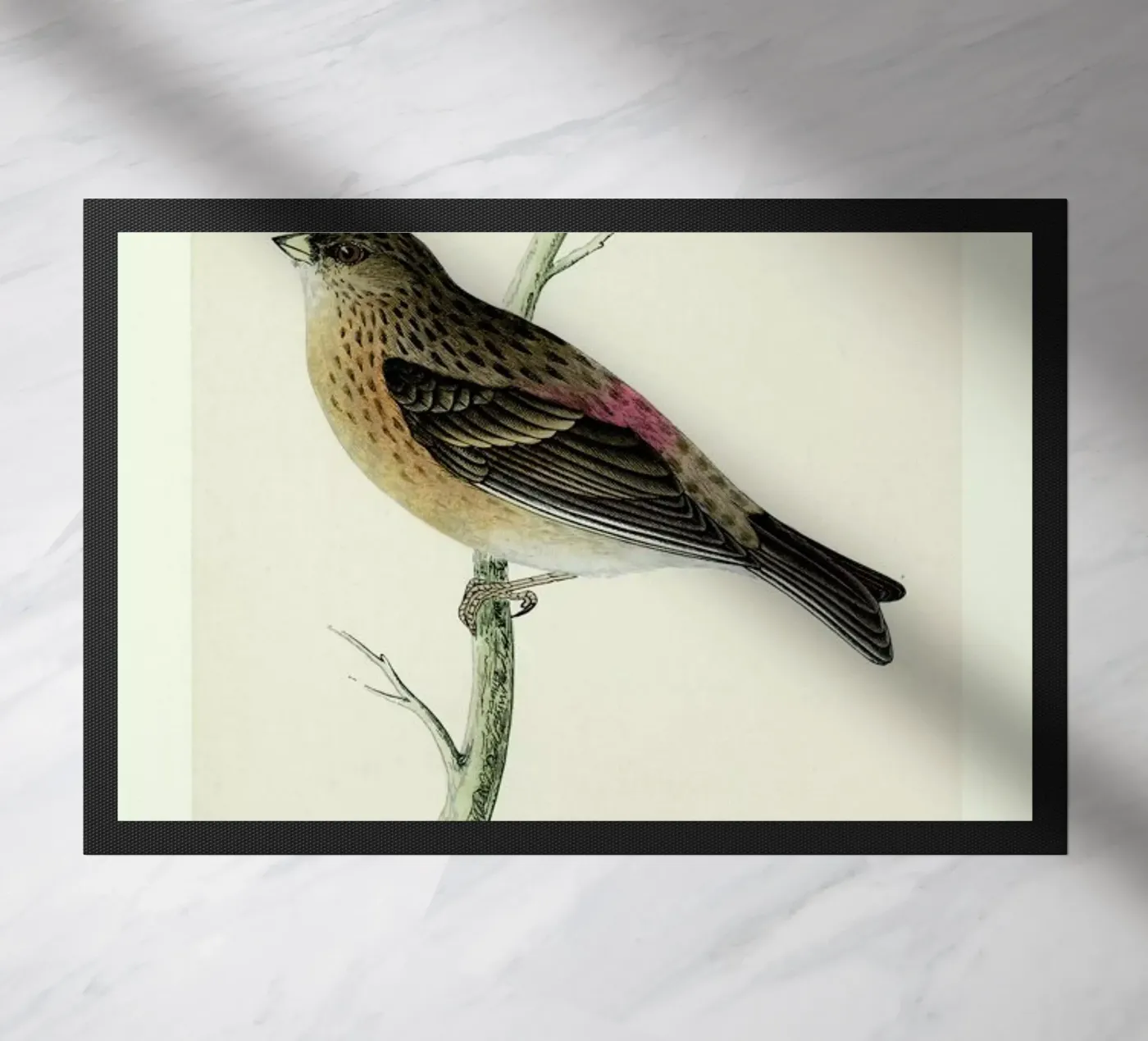 Perching Bird doormat by Flora & Fauna