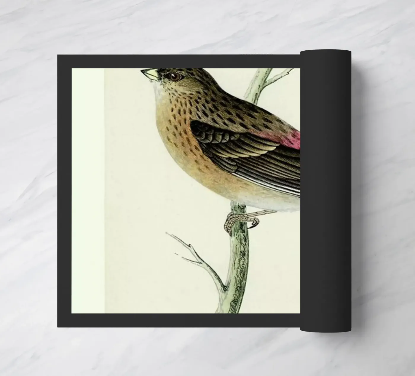 Perching Bird doormat by Flora & Fauna