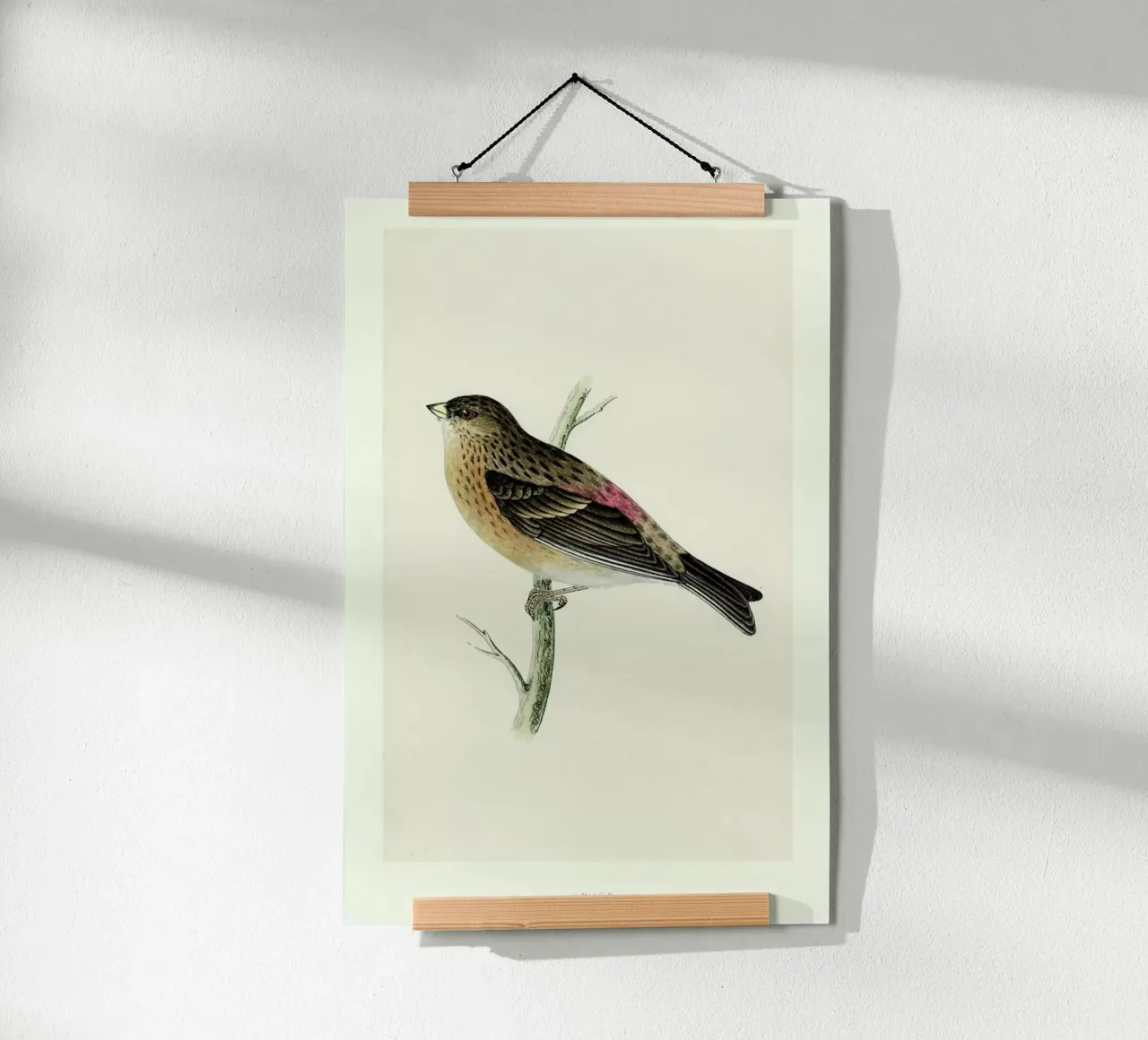 Perching Bird poster da Flora & Fauna