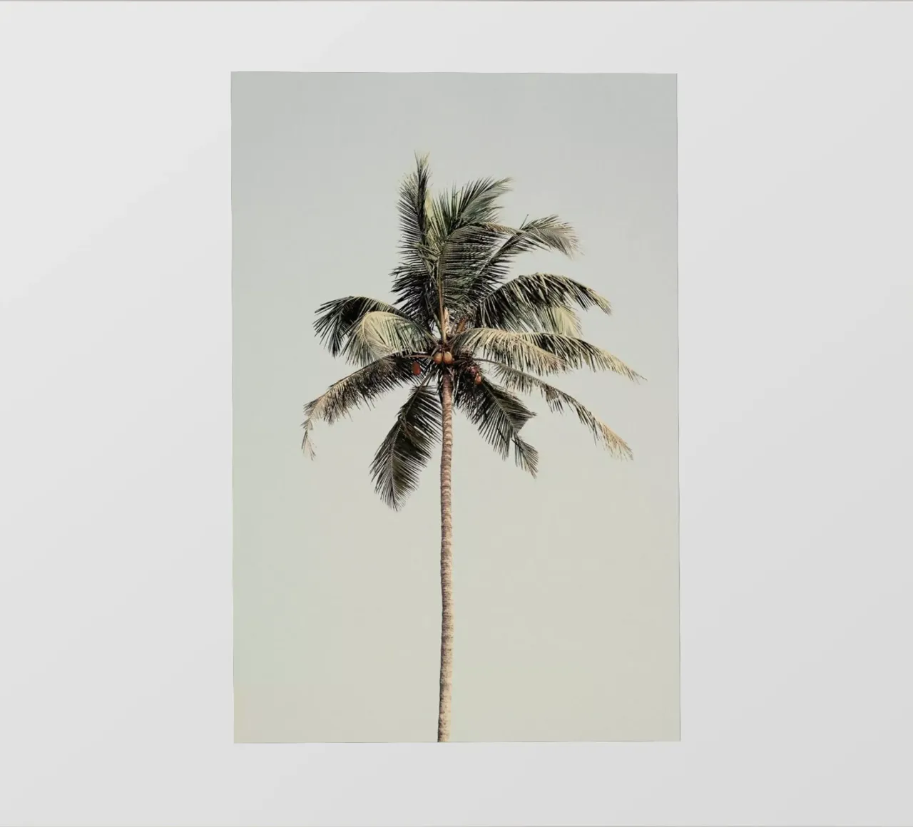 Palm Tree By The Beach pellicola backlit da Victoria Frost