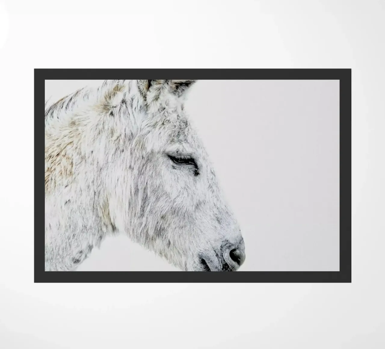 Donkey zerbino da Paws & Claws