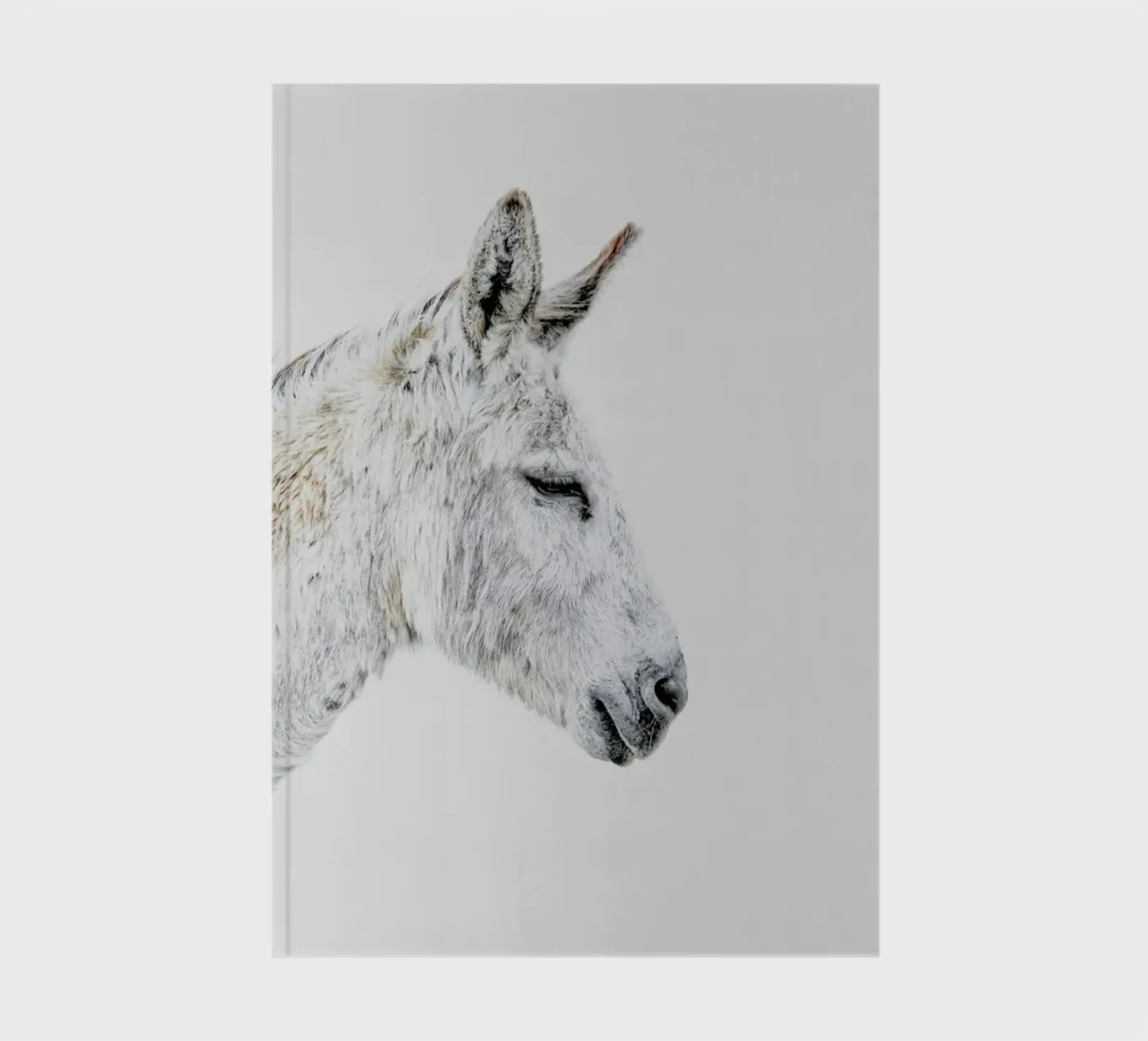 Donkey notebook by Paws & Claws