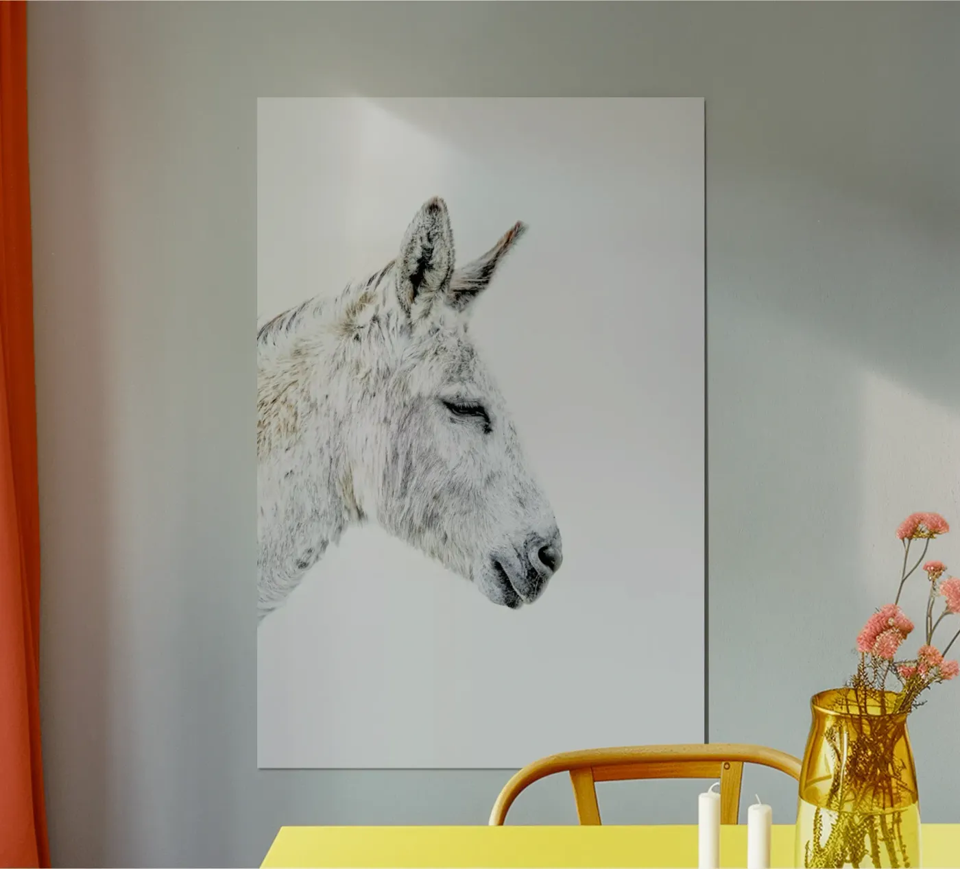 Donkey poster van Paws & Claws
