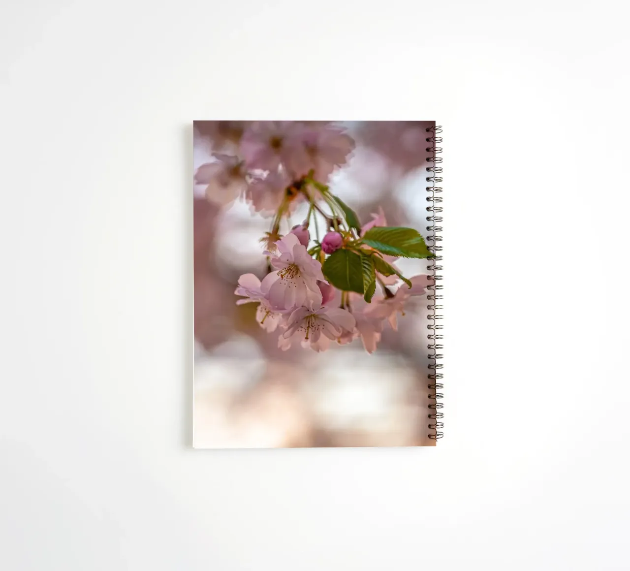 Fleurs de cerisier roses carnet à spirale de Marcus Beckert | Fotografie