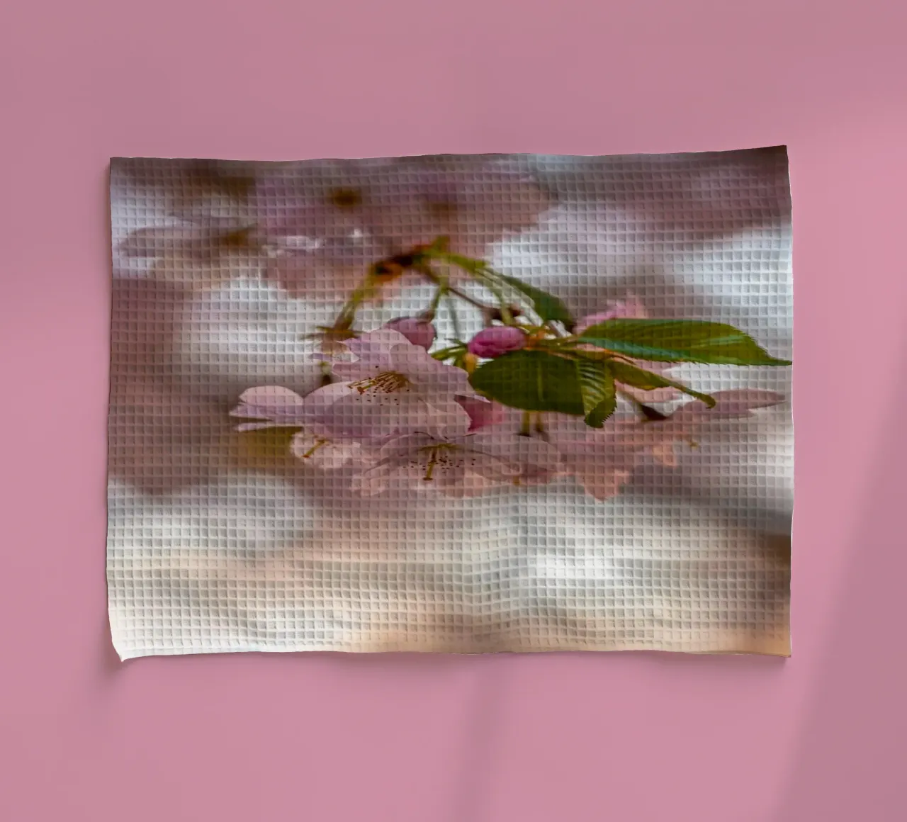 Fiori di ciliegio rosa canovaccio da cucina da Marcus Beckert | Fotografie