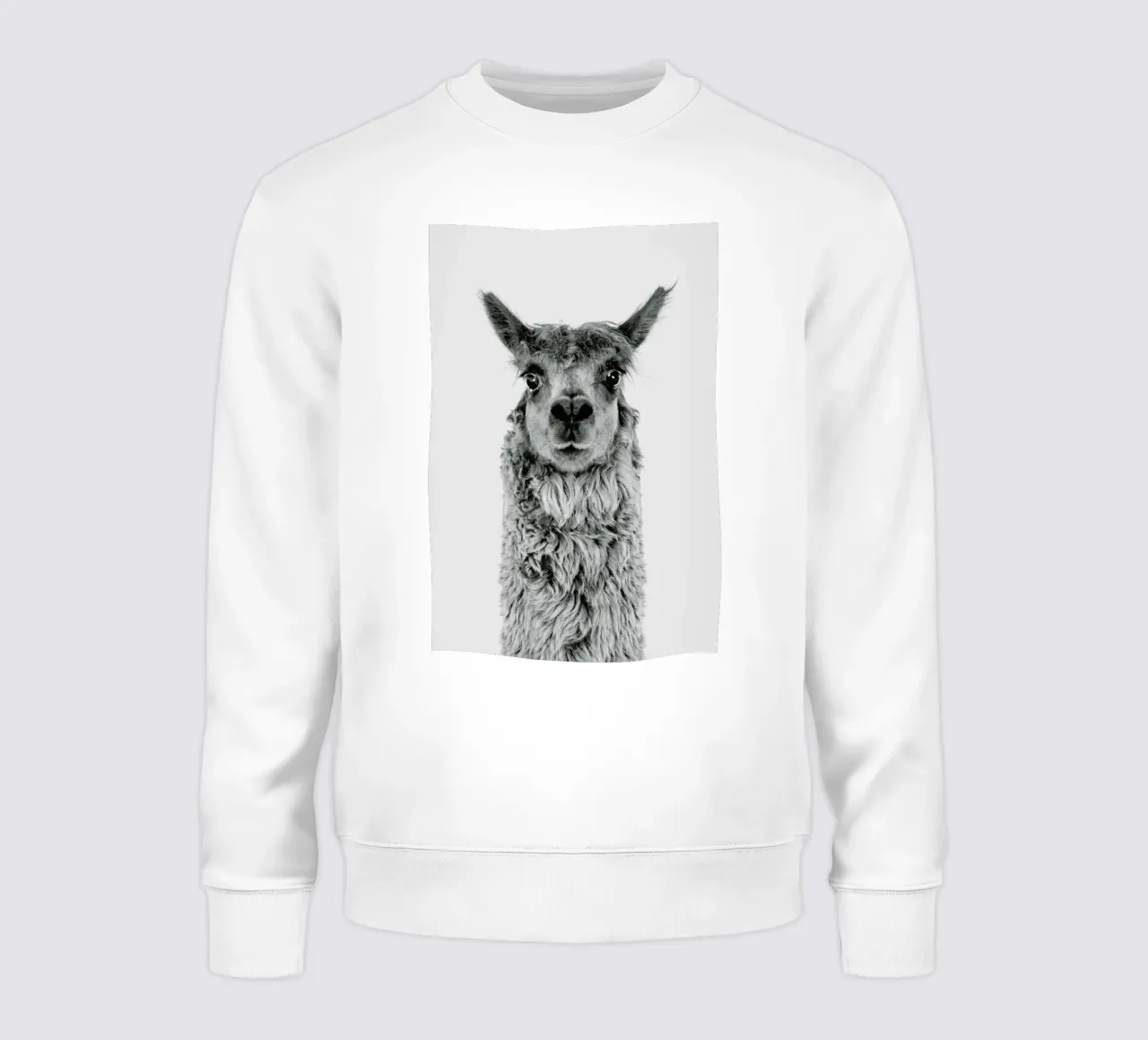 Alpaca felpa da Paws & Claws