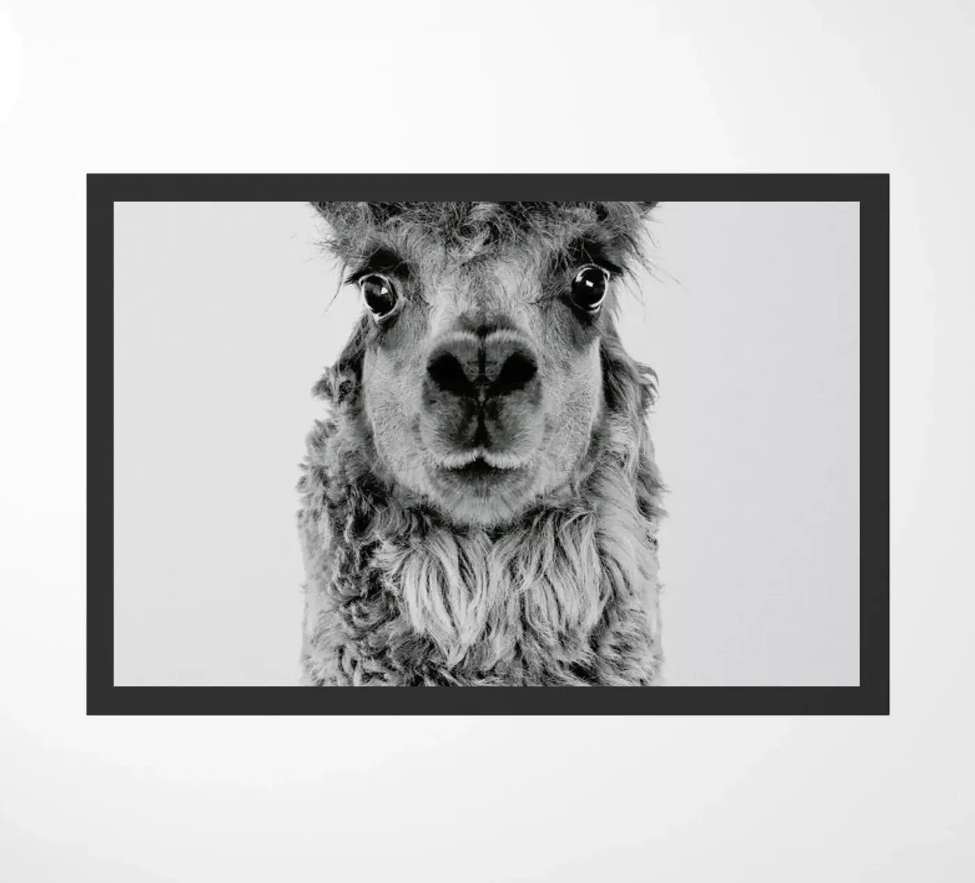 Alpaca zerbino da Paws & Claws