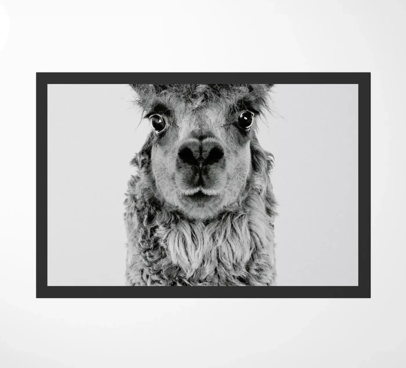 Alpaca Fußmatte von Paws & Claws