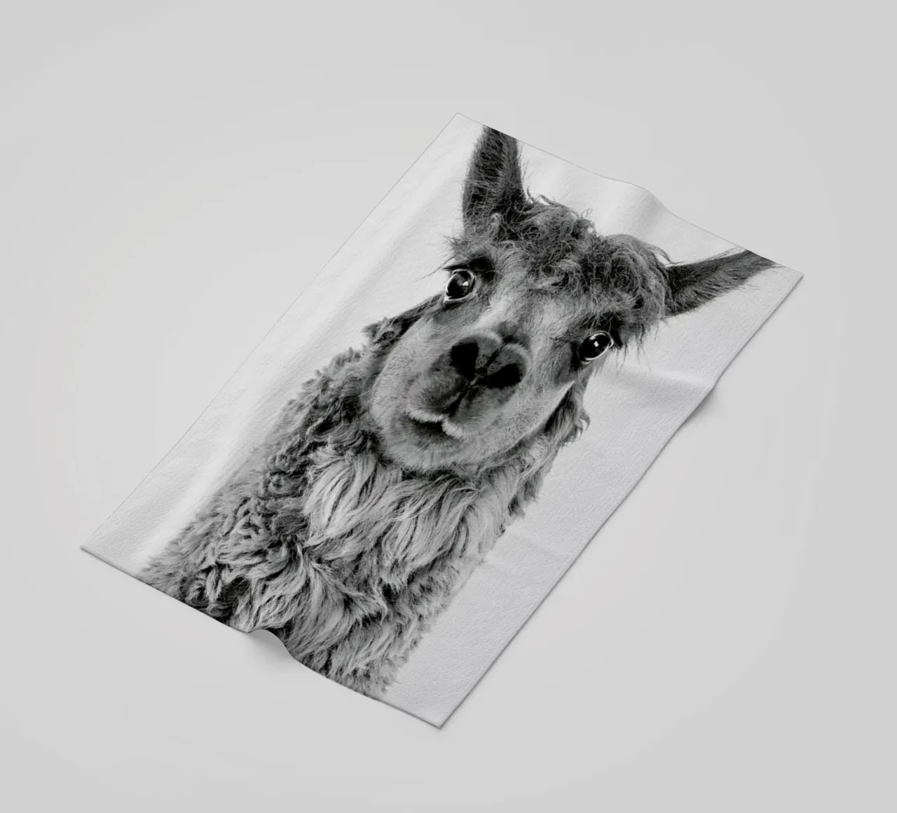 Alpaca telo mare da Paws & Claws