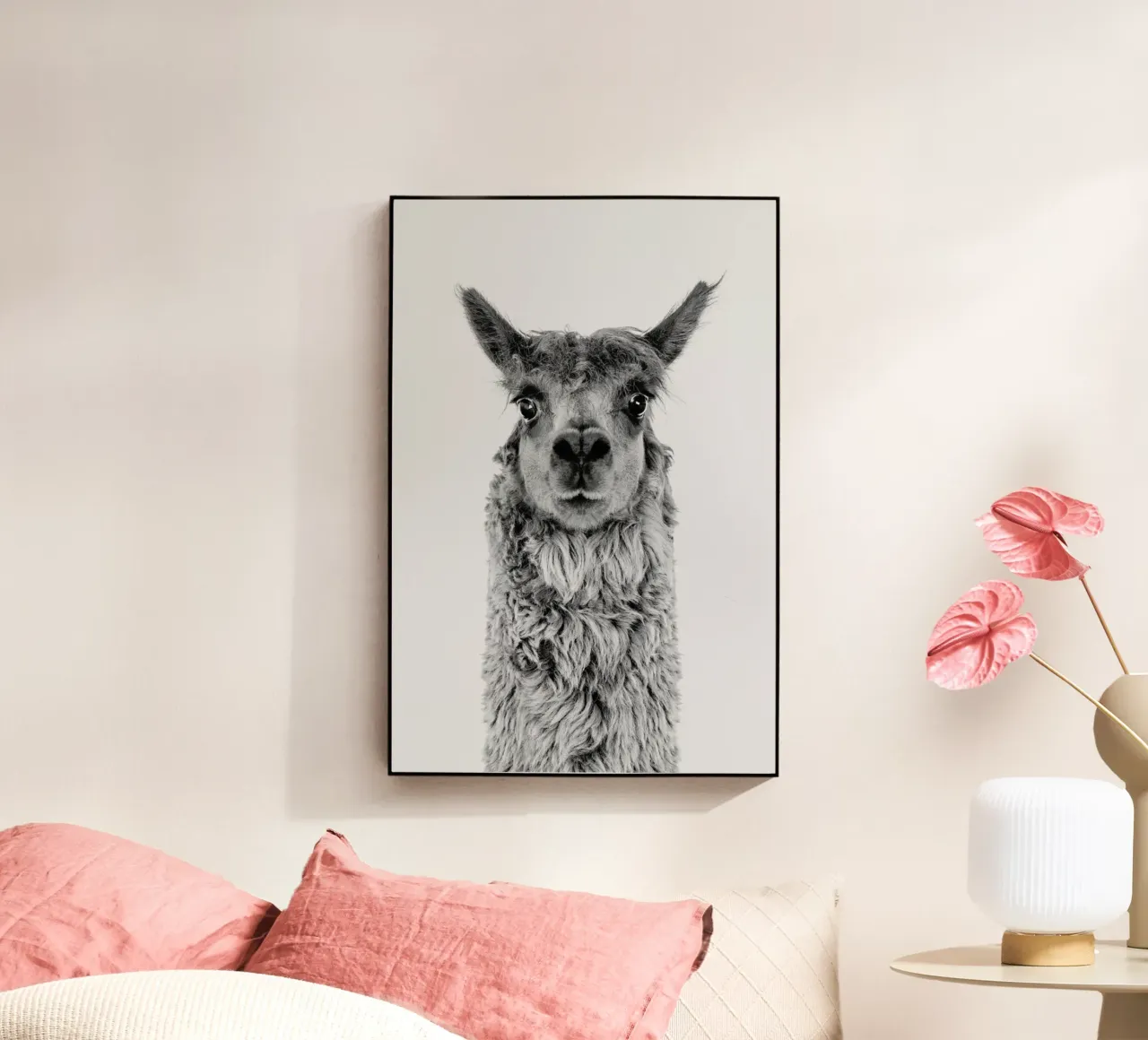 Alpaca plexiglass da Paws & Claws