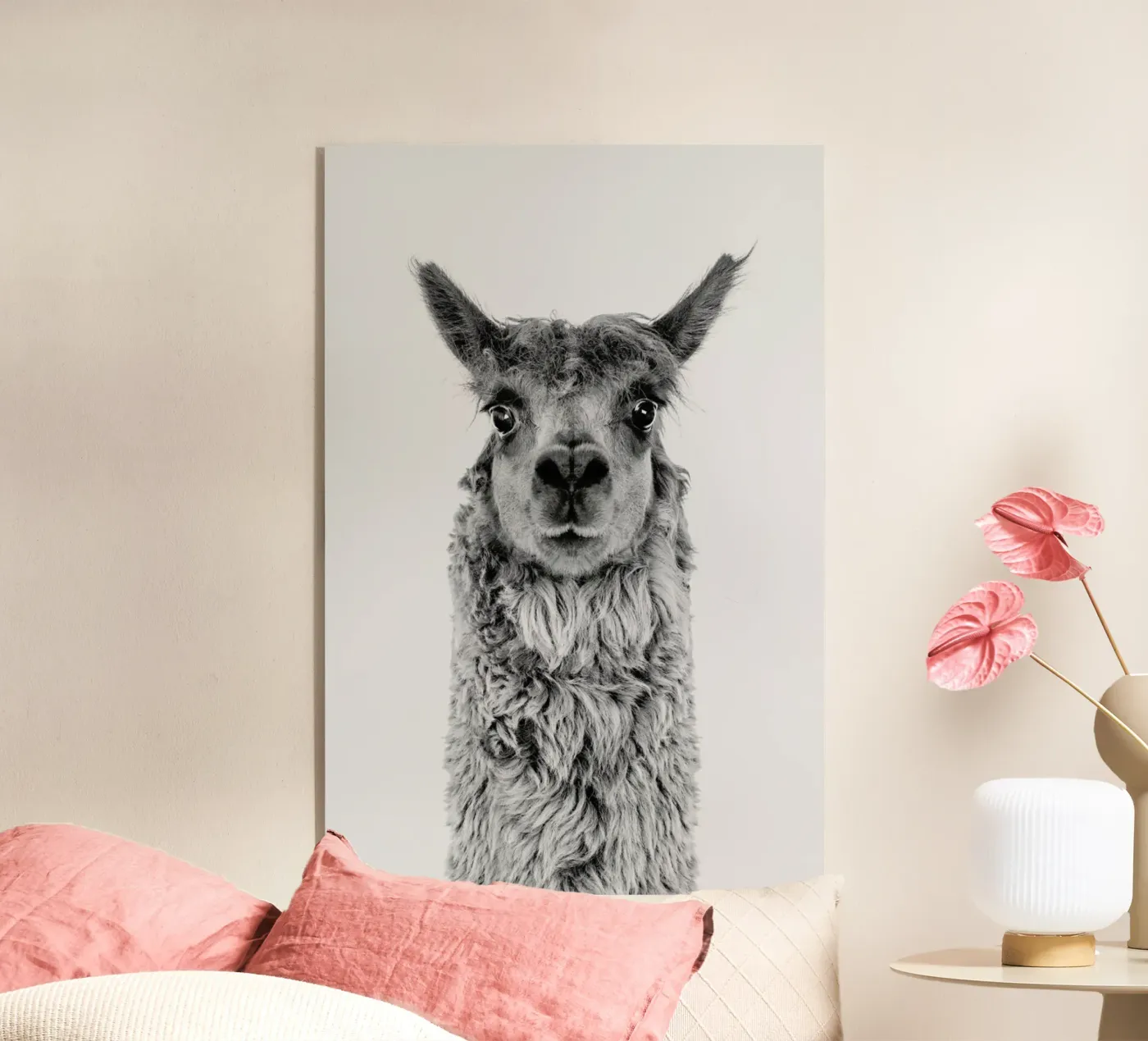 Alpaca plexiglas de Paws & Claws