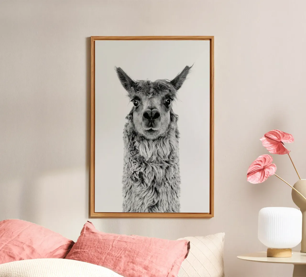 Alpaca pannello forex da Paws & Claws